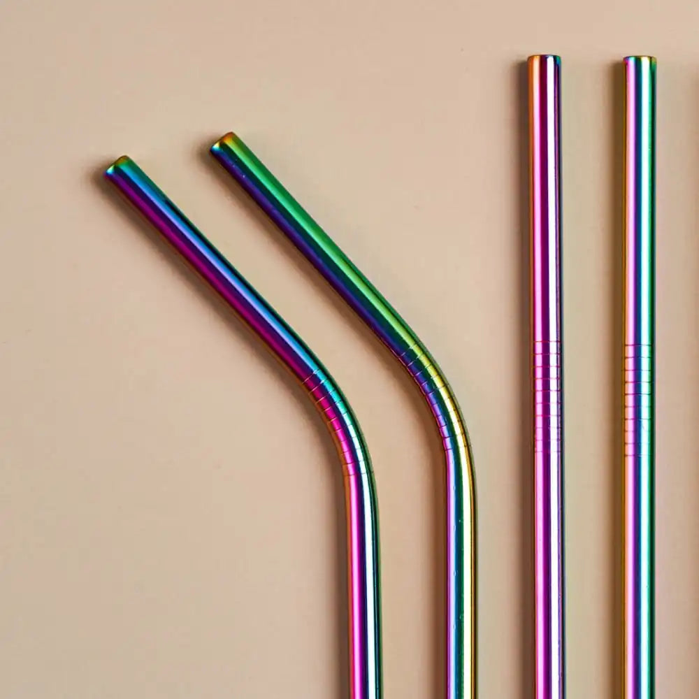 Stainless Steel Straws With Cleaner - Rainbow (1 ST+1 Bend) | ONEarth