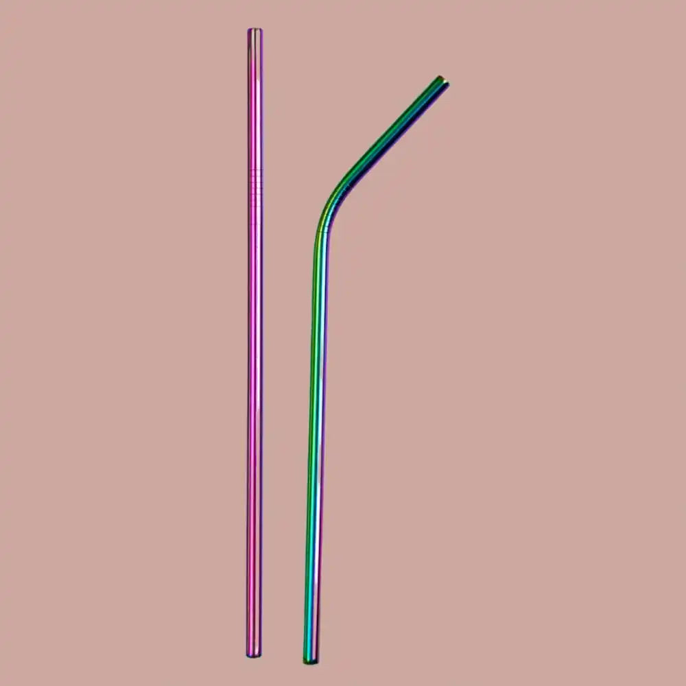 Stainless Steel Straws With Cleaner - Rainbow (1 ST+1 Bend) | ONEarth
