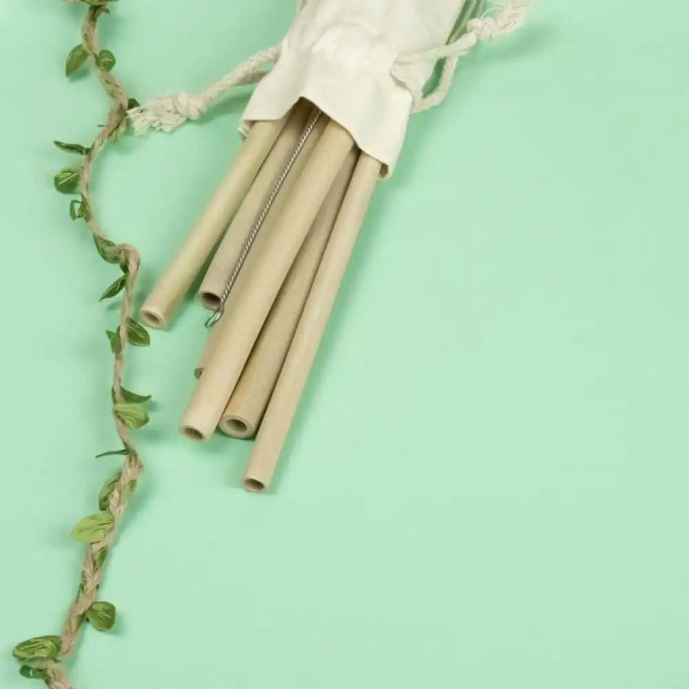 Bamboo Straws with Cleaner - Pack of 2 | Pack of 2