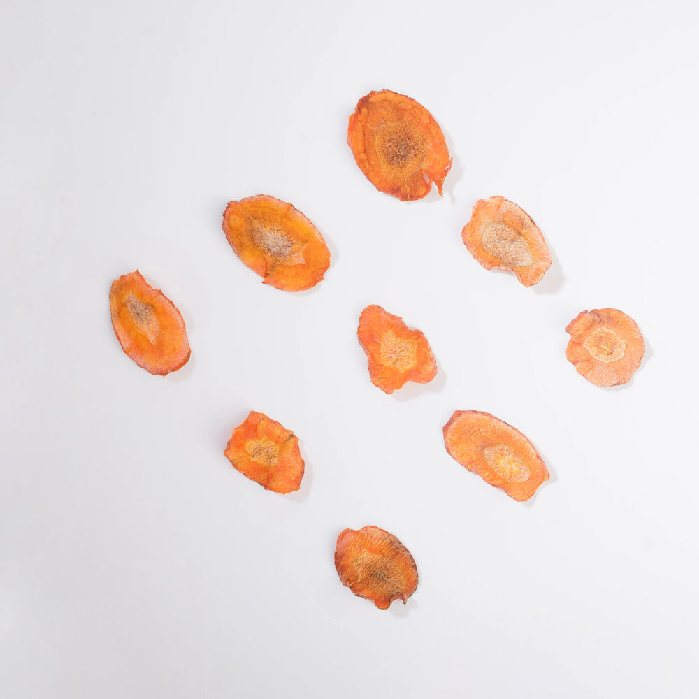 BestOrganicSnacks-Earthbased_SUN DRIED AIR FRIED CARROT CRUNCH CHIPS0_ddb