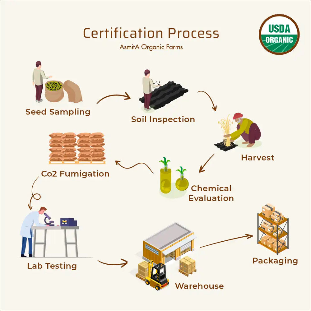 Best_Green_Moong_Dal_earthbased_0025