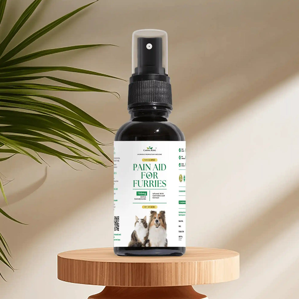 Pain -Aid- For- Furries-003