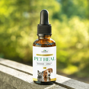 Pet -Heal-00