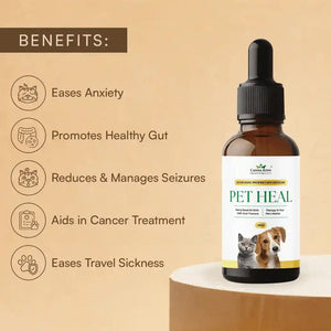 Pet -Heal-002