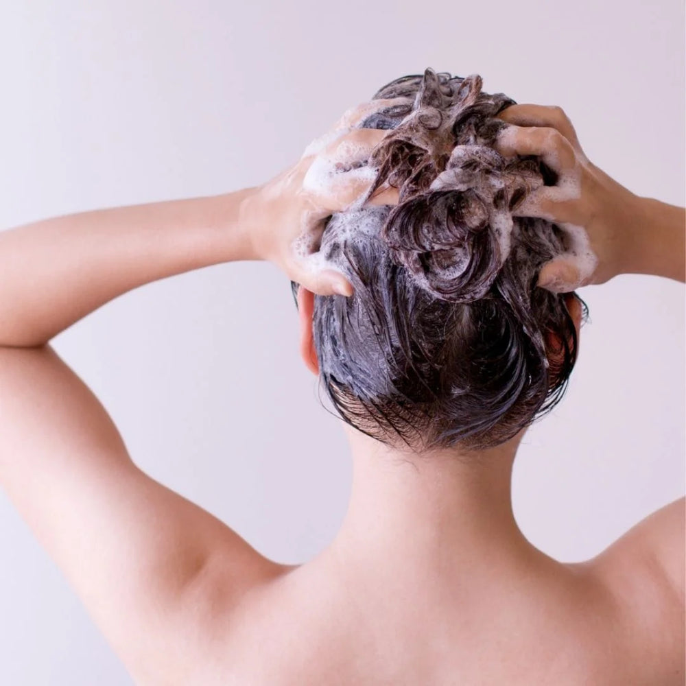 Shampoo _For _All _Hair_ Types