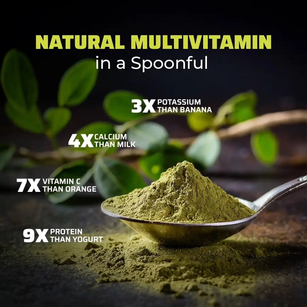 best_organic_moringa_powder_earthbased_002