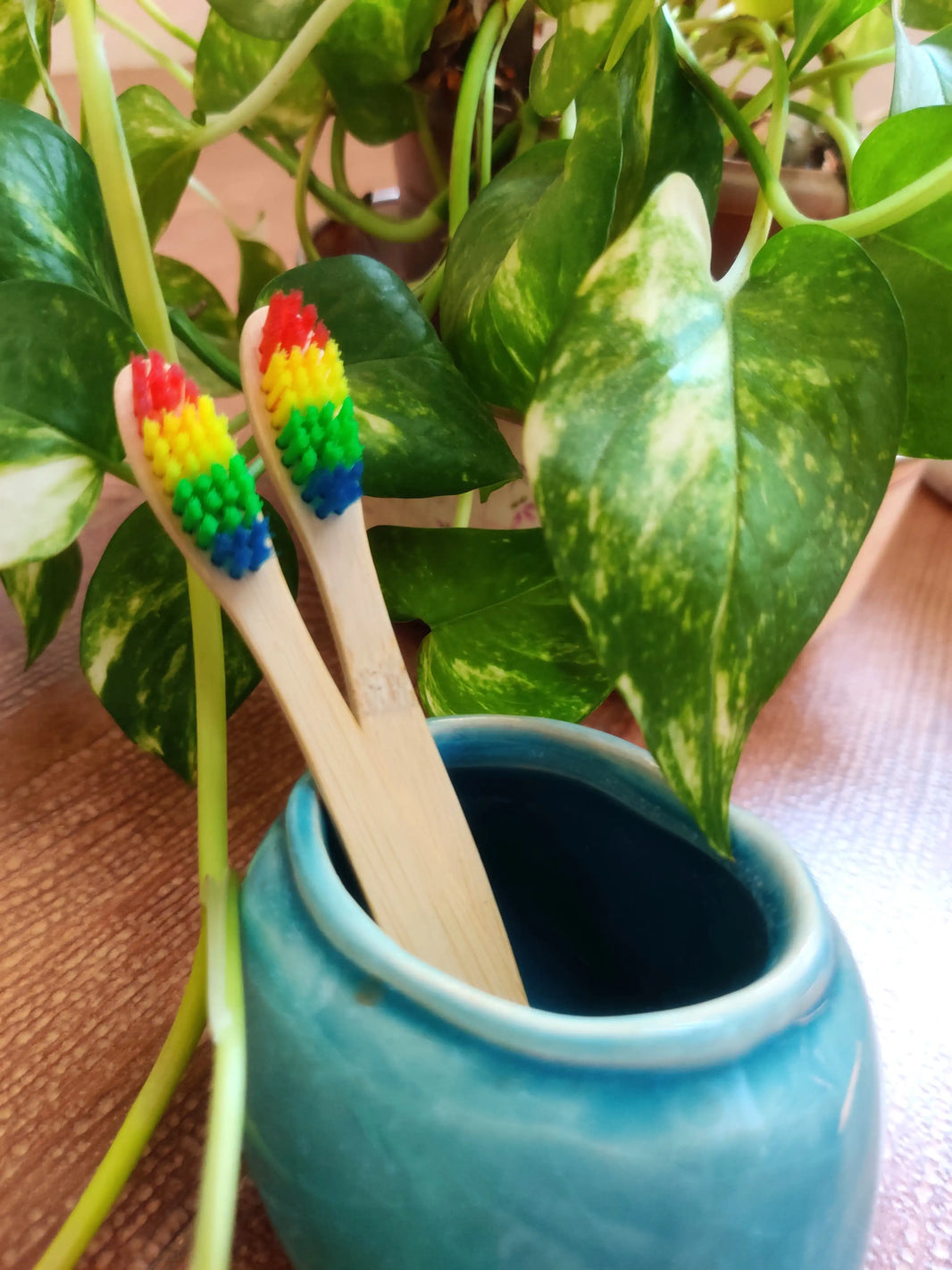 Natural Bamboo Kids Toothbrush - rainbow bristles pack of 2