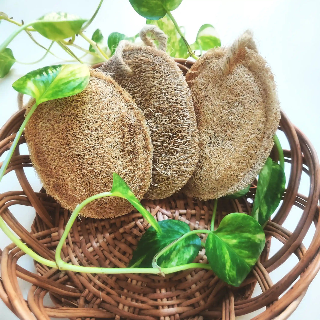 Natural Plant based loofah | Bathing sponge | Set of 3