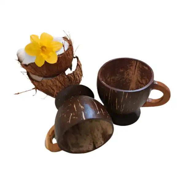 Coconut Tea/ Coffee Mug (pack of 2)