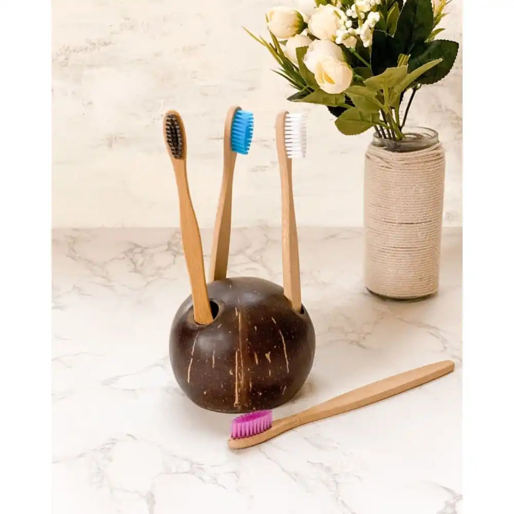 Coconut Shell Toothbrush Holder