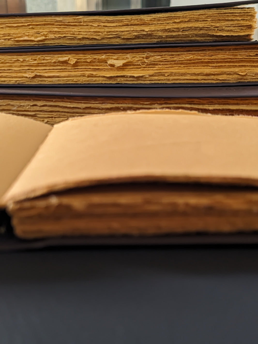 Landscape Leather like Cruelty free Journal