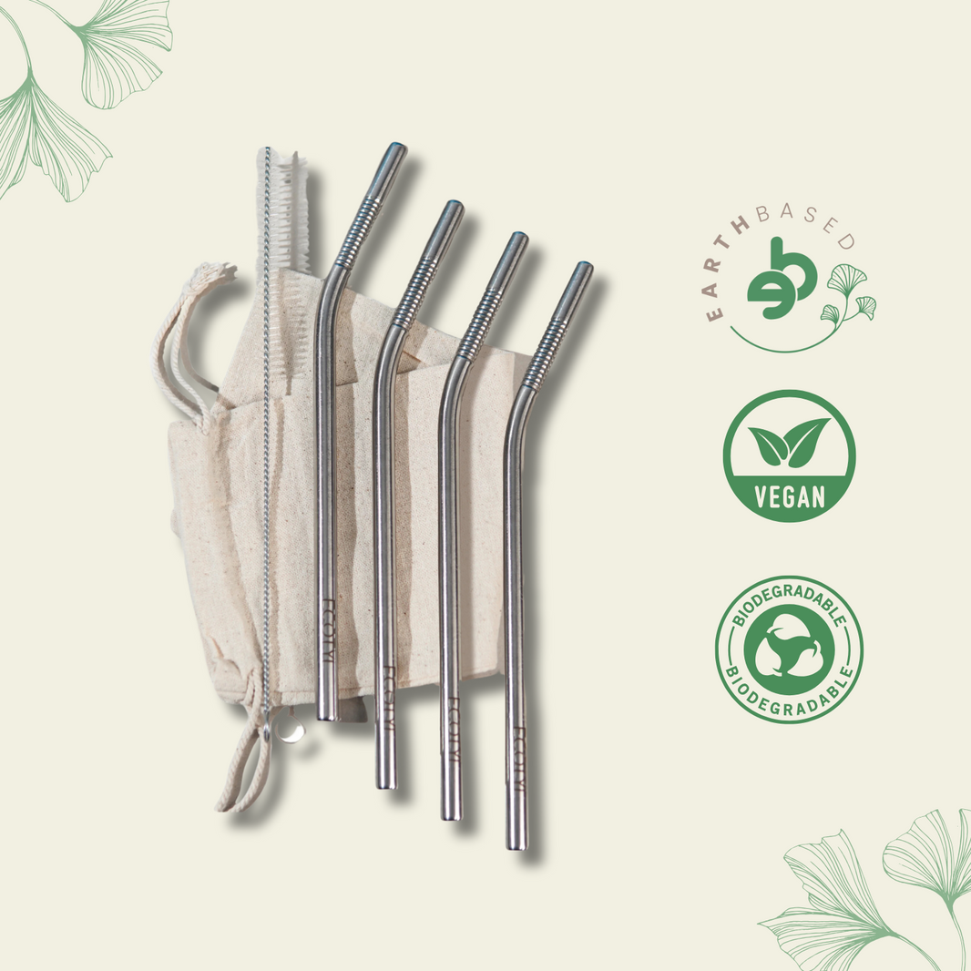 Ecotyl Stainless Steel Straw (Set of 4) + Cleaning Brush