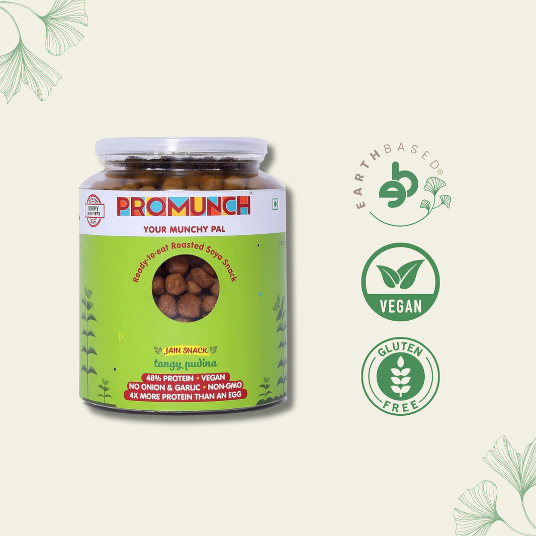 PROMUNCH Roasted Soya Snack | Vegan |Gluten-Free | Pack of 1 Flavour: Tangy Pudina 300 g