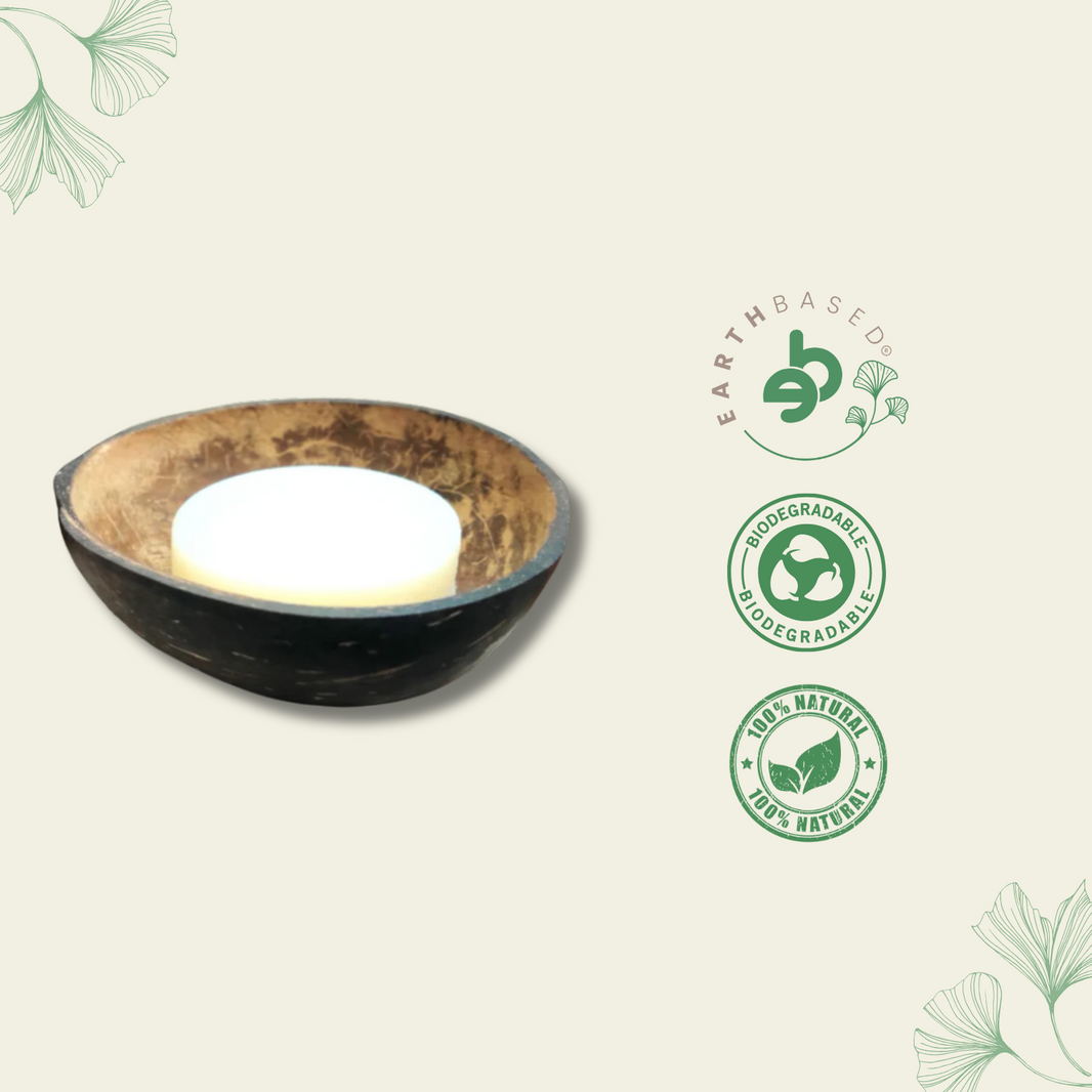 Coconut Shell Soap Dish