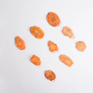 BestOrganicSnacks-Earthbased_SUN DRIED AIR FRIED CARROT CRUNCH CHIPS0_ddb