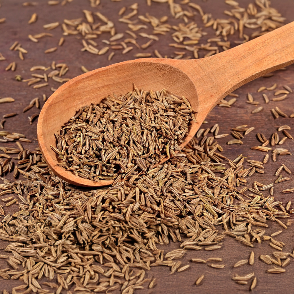 Best_Cumin_whole_earthbased_002