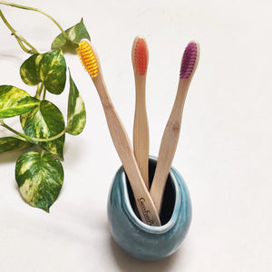 Best_Natural_Bamboo_Tooth_brush_earthbased_002