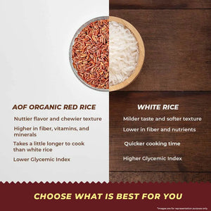 Best_Red_Rice_earthbased_004