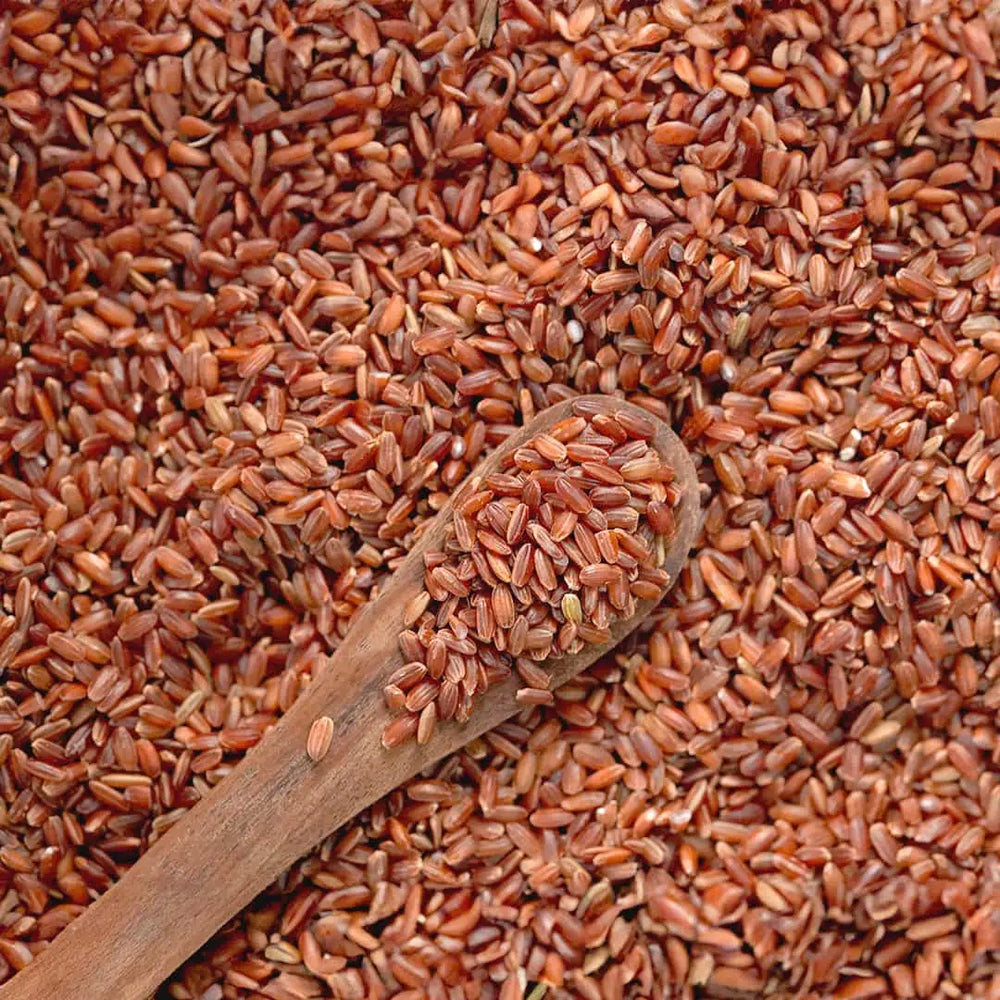 Best_Red_Rice_earthbased_007