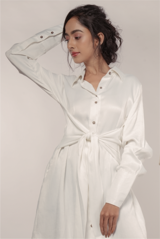 Best_Shirt_Dress_earthbased_002