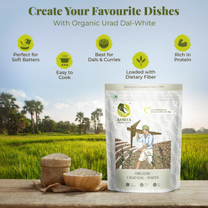 Best_Urad_Dal_white_earthbased_002