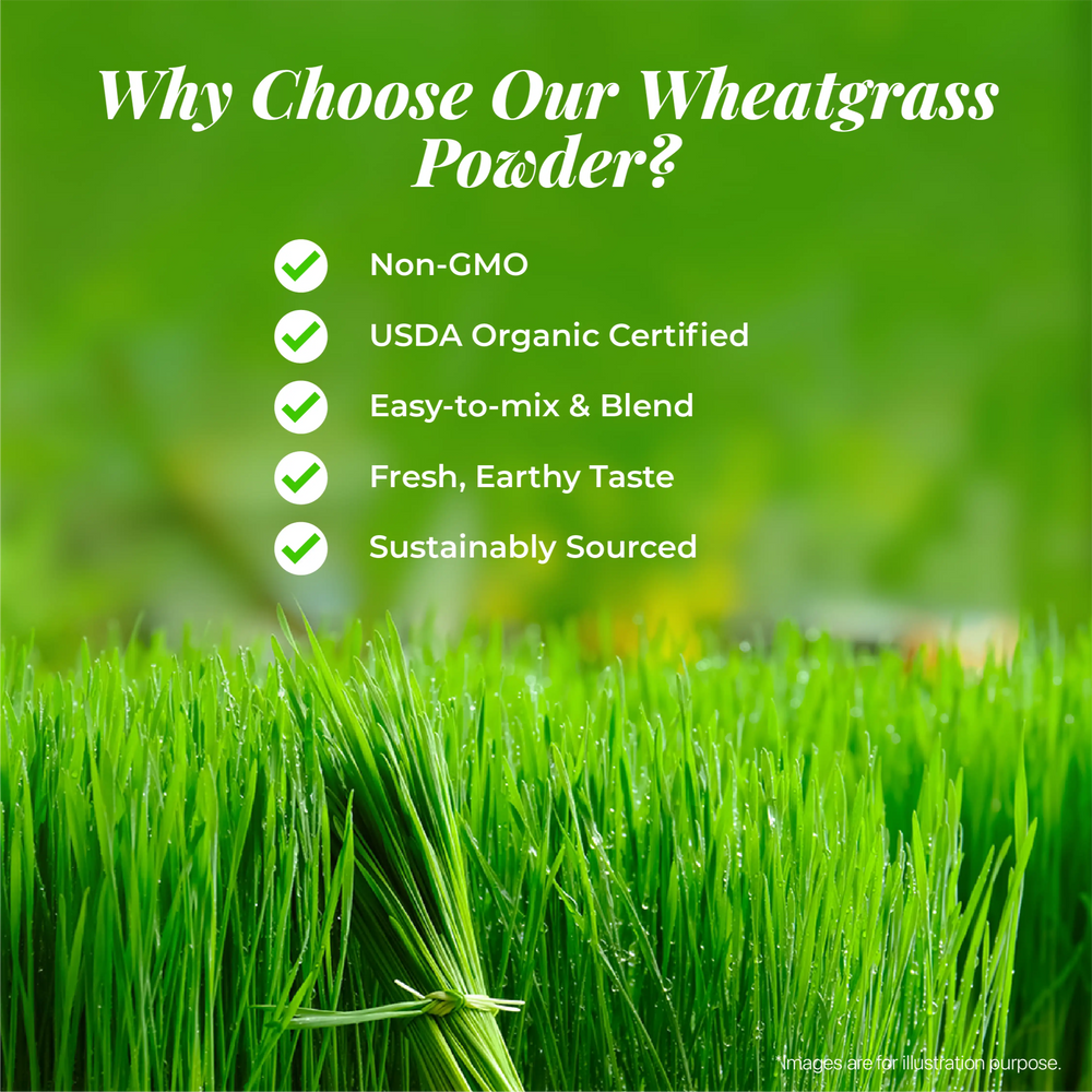 Best_Wheat_Grass_Powder_earthbased_006