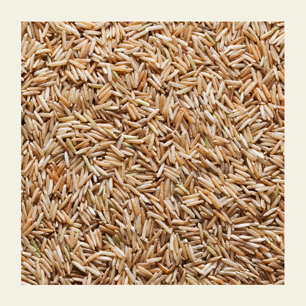 Brown_Basmati_Rice_earthbased_005