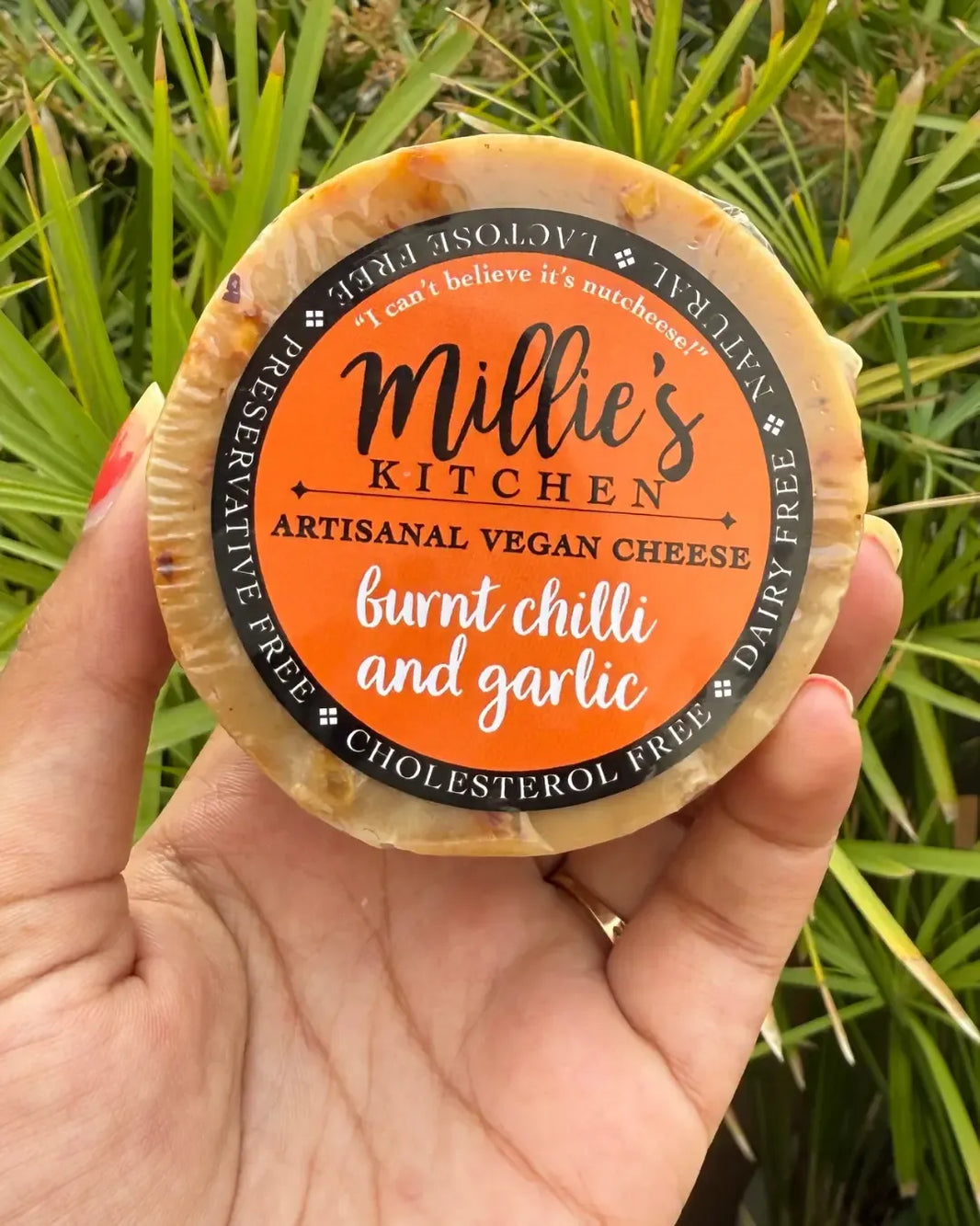 Burnt Red Chili and Garlic Wheel | Millie's Vegan Cheese