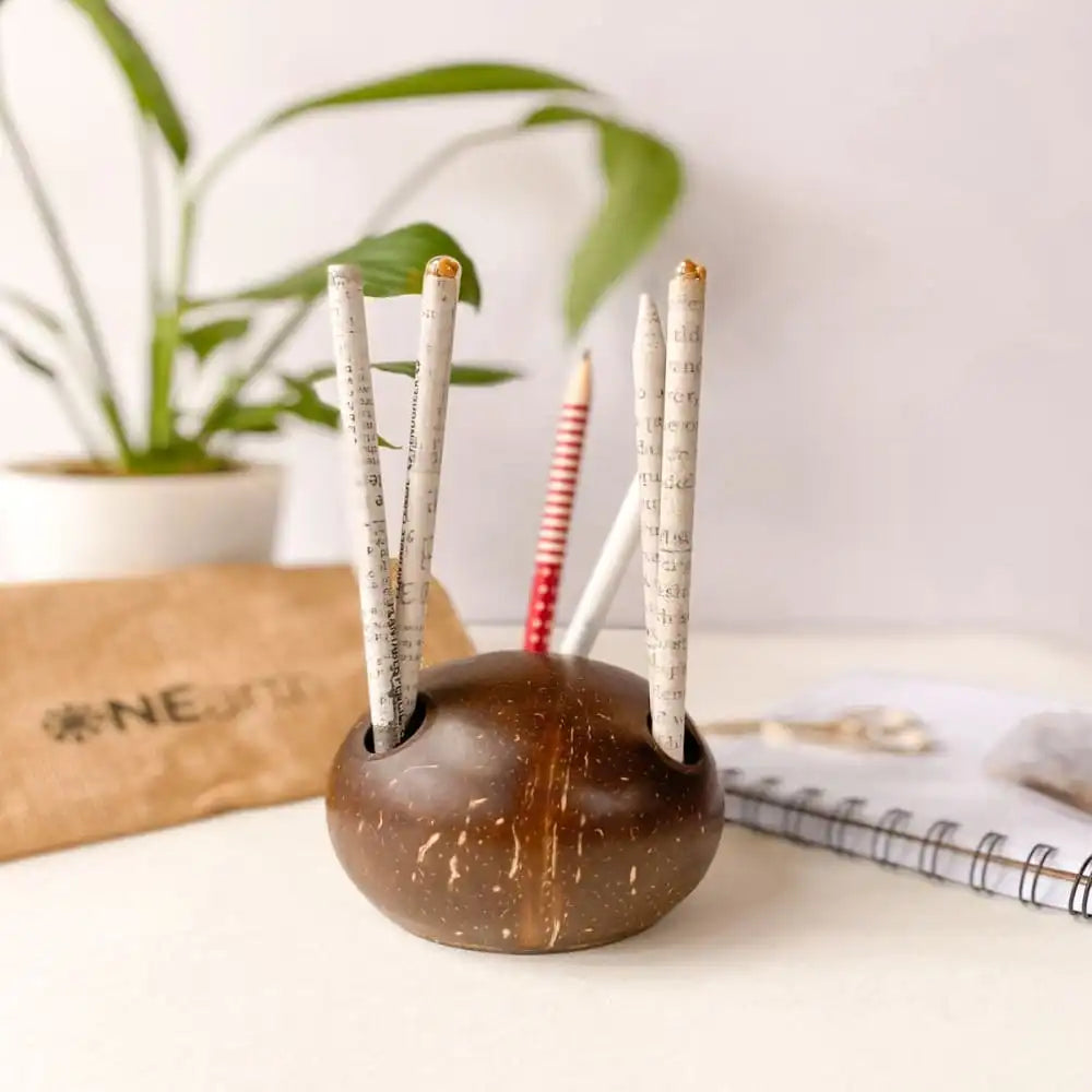 Coconut _Shell _Pen _stand