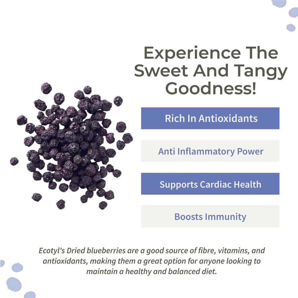 DRIEDBLUEBERRIES2-Natural Dried Blueberries | Ecotyl -earthbased