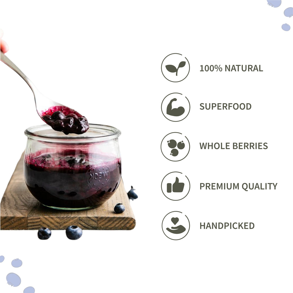 DRIEDBLUEBERRIES3-Natural Dried Blueberries | Ecotyl -earthbased