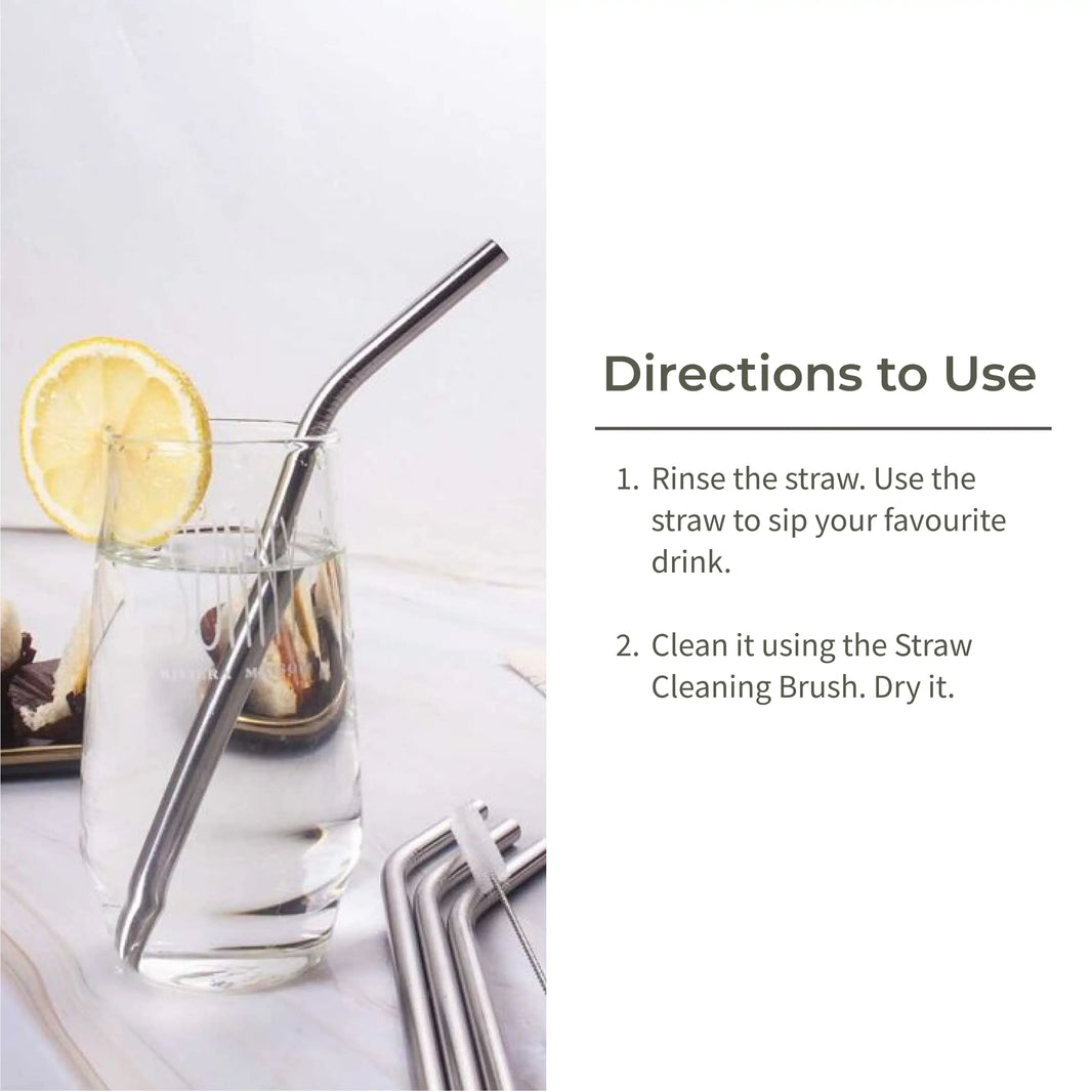 Ecotyl Stainless Steel Straw (Set of 4) + Cleaning Brush