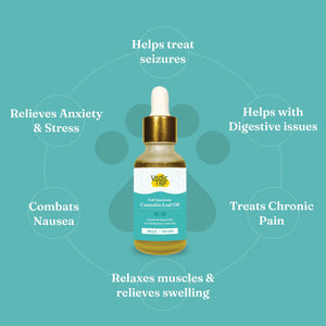 India_Hemp_Organics_Vedic_Tails_Full_Spectrum_Cannabis_leaf_extract_Mild1
