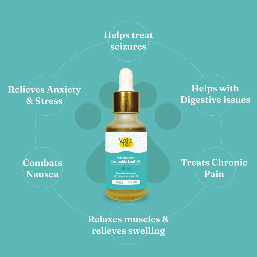 India_Hemp_Organics_Vedic_Tails_Full_Spectrum_Cannabis_leaf_extract_Mild1