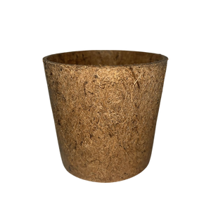 coco pot-Photoroom