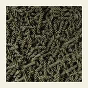 Moringa _Wheat _Pasta _earthbased_004