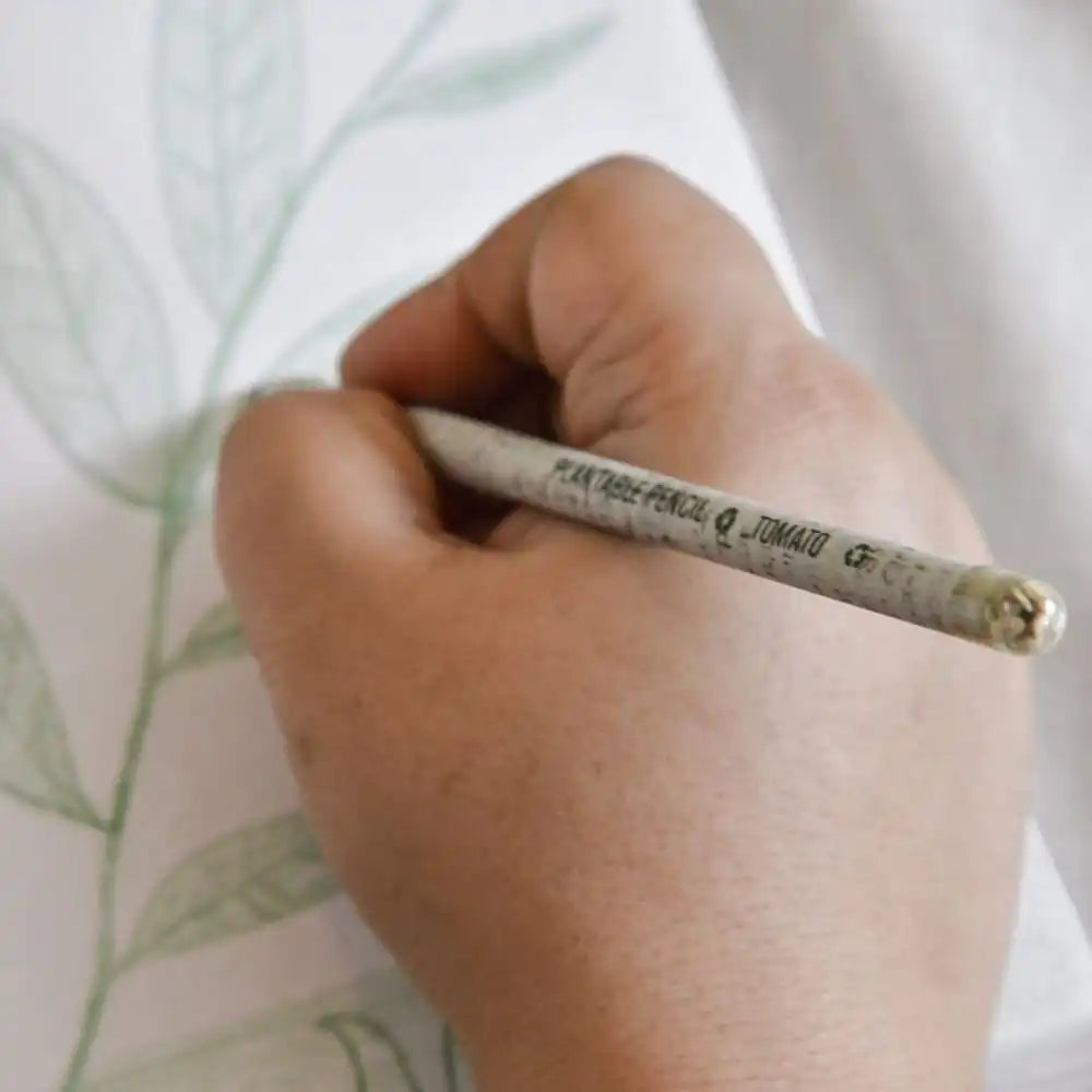 Paper _Pencil _(Plantable Seed)_001