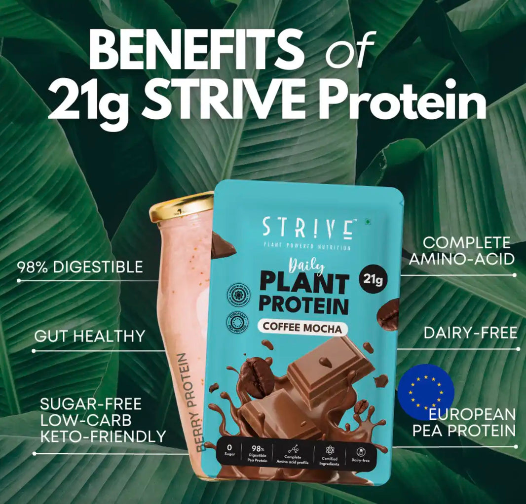 STRIVE 21g Protein Powder- Coffee Mocha