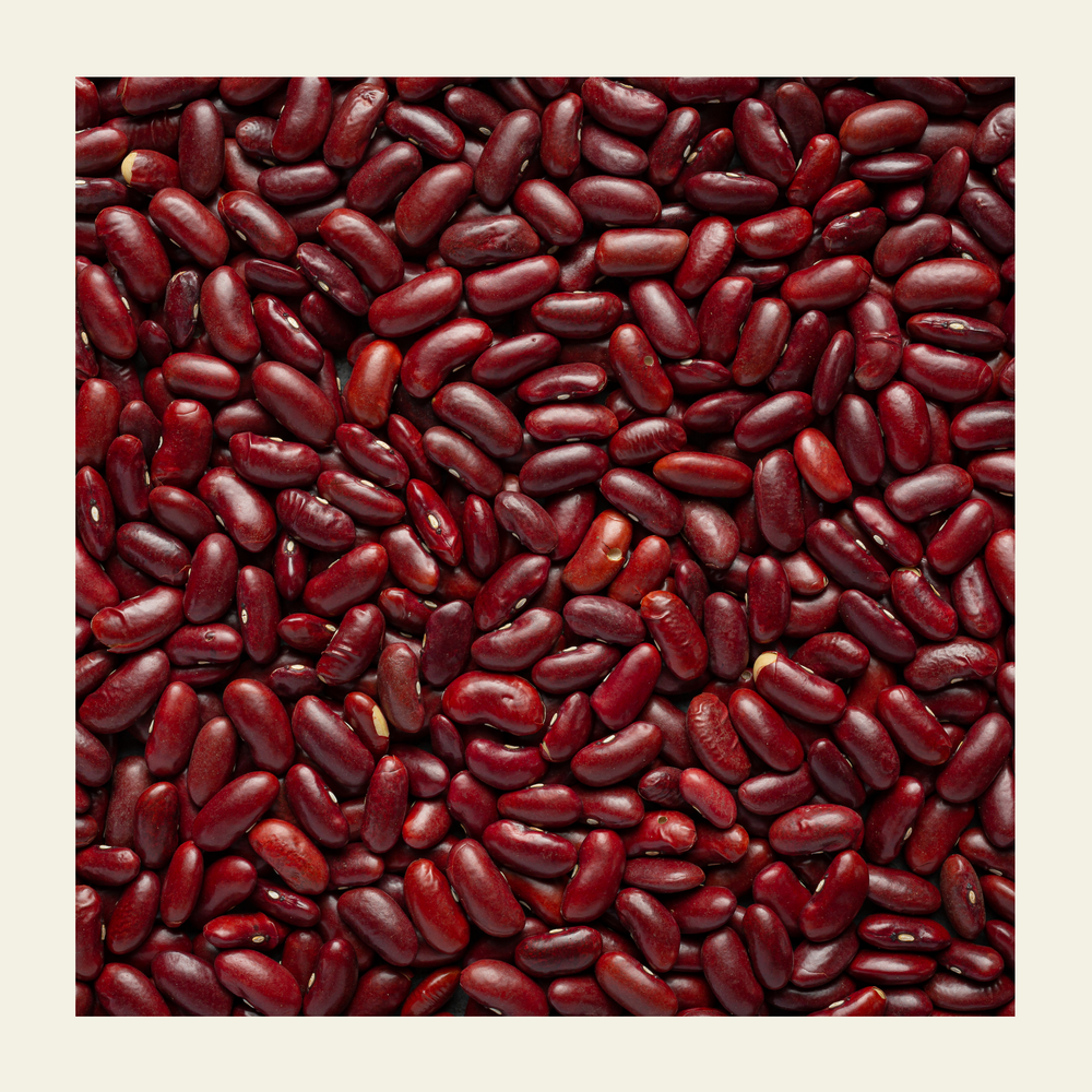 Red _Rajma _(Kidney_ Beans)_earthbased_006