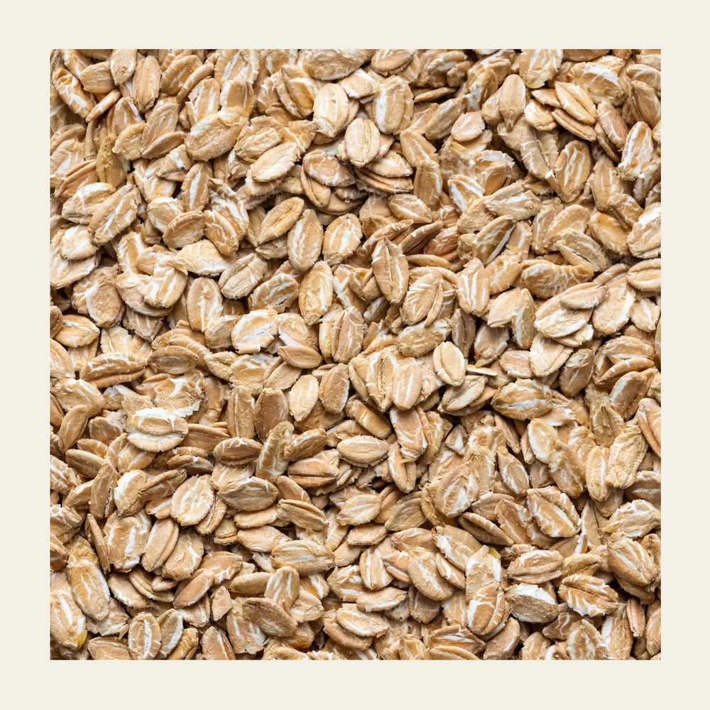 Rolled_Oats_earthbased_005