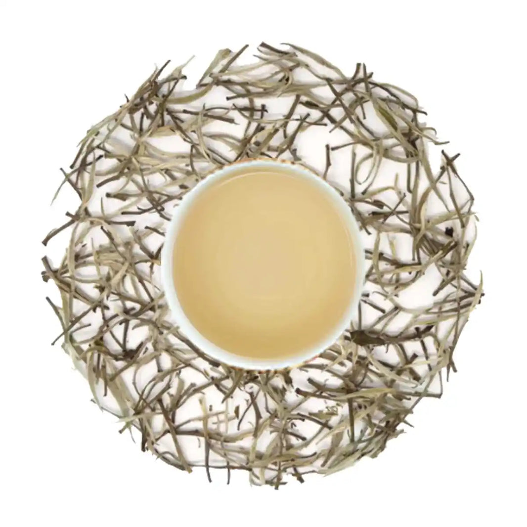 SilverNeedleWhiteTea2-The Tea Shore-earthbased