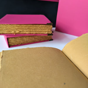 Sketching_Diary_(Pink & Purple)_earthbased_001