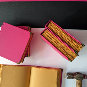 Sketching_Diary_(Pink & Purple)_earthbased_003