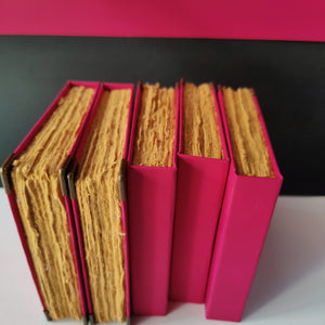 Sketching_Diary_(Pink & Purple)_earthbased_004