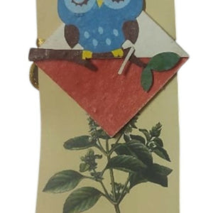 Wise Owl-Photoroom