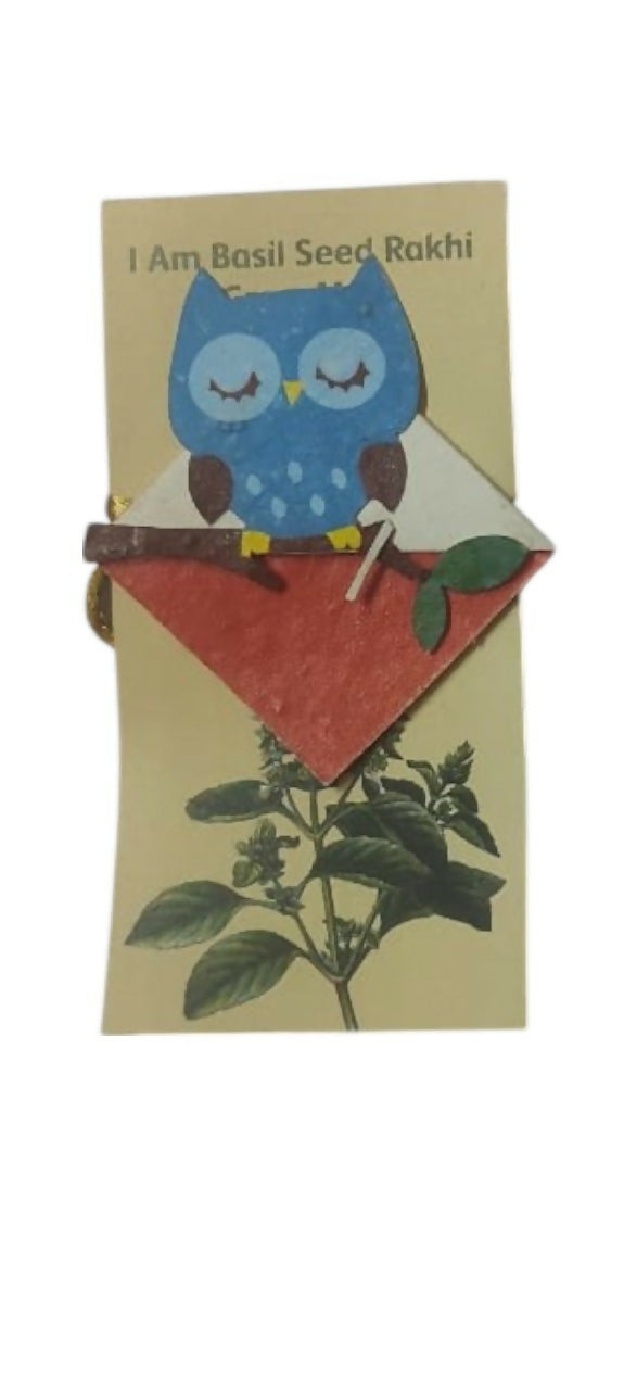 Wise Owl-Photoroom