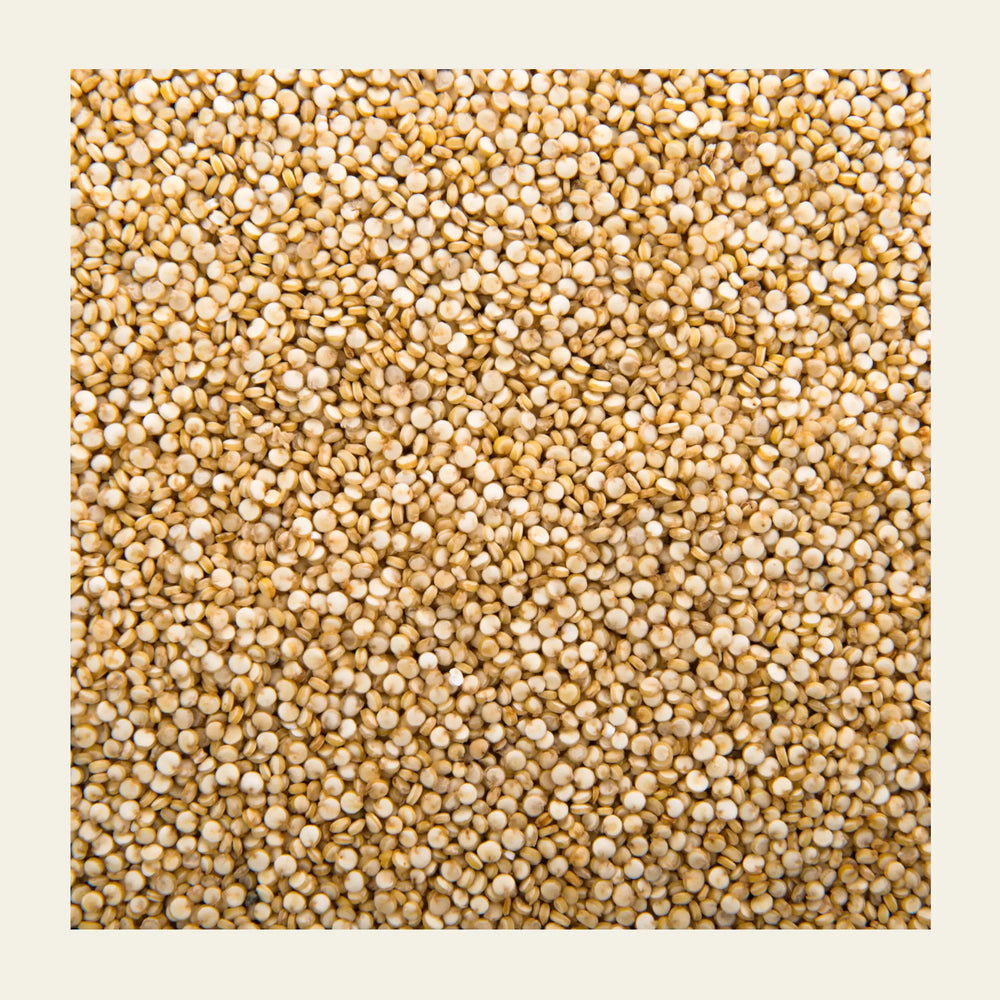 Whole_ Quinoa_earthbased_00