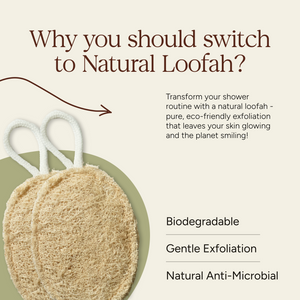 Natural Loofah 3